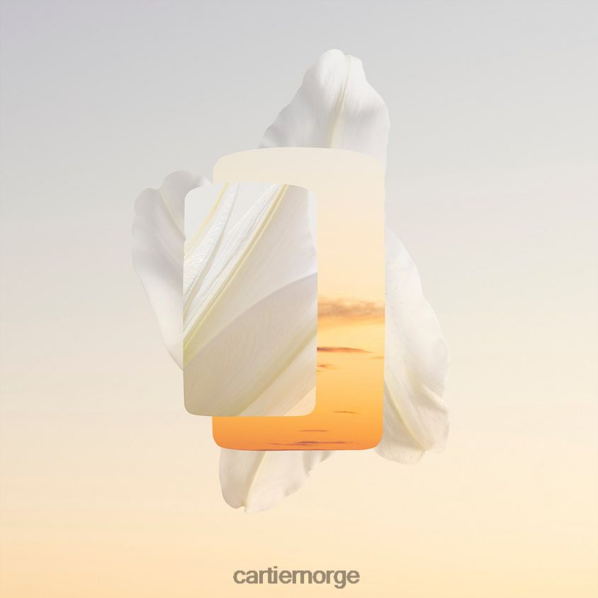 tilbehør Cartier baiser vole parfyme stilig F4466N1827