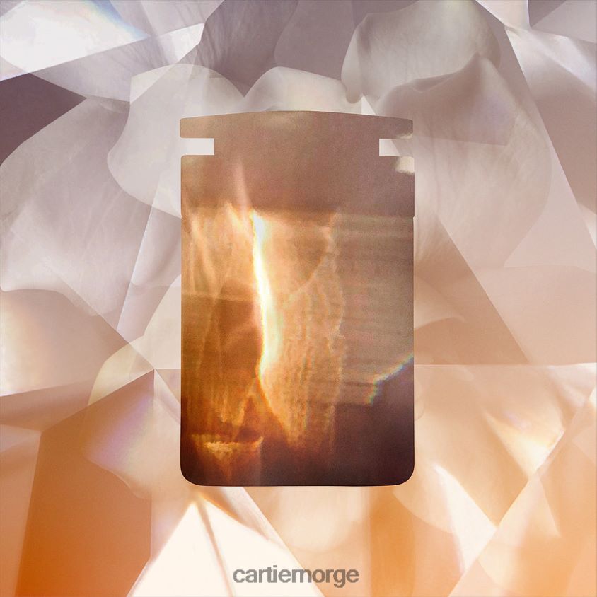 tilbehør Cartier les necessaires a parfum pure rose eau de toilette refill pack 2x30 ml stilig F4466N1897