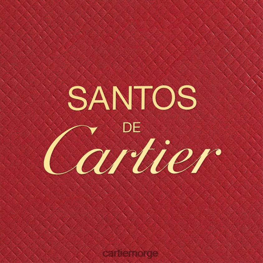 tilbehør Cartier les necessaires a parfum santos eau de toilette refill pack 2x30 ml stilig F4466N1857