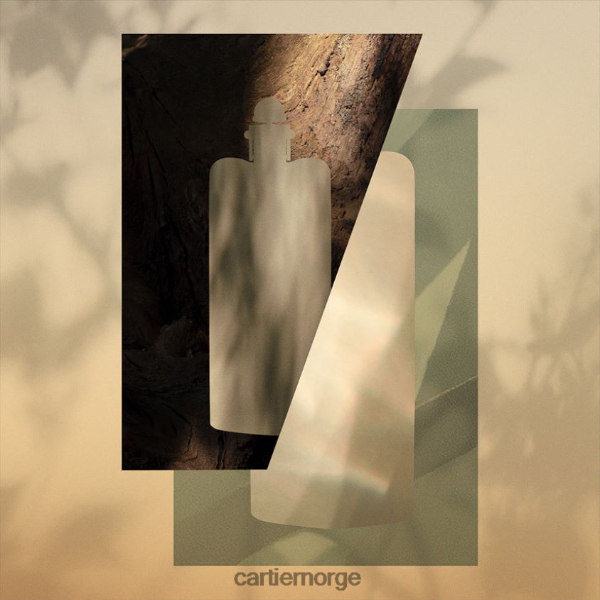 tilbehør Cartier eau de toilette-erklæring stilig F4466N1807