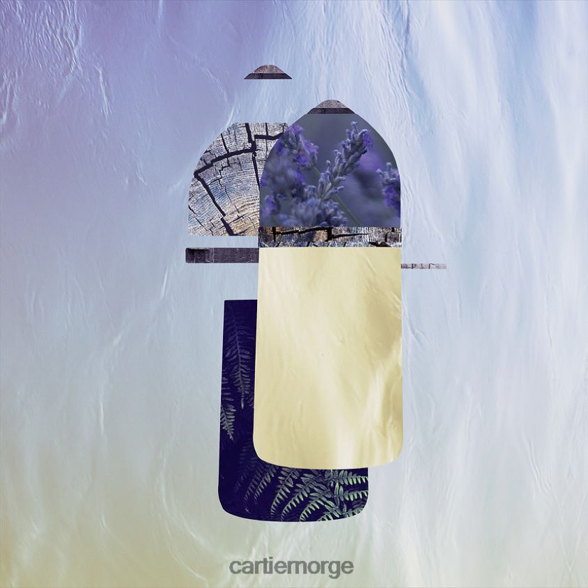 tilbehør Cartier pasha edt 100 ml stilig F4466N1815