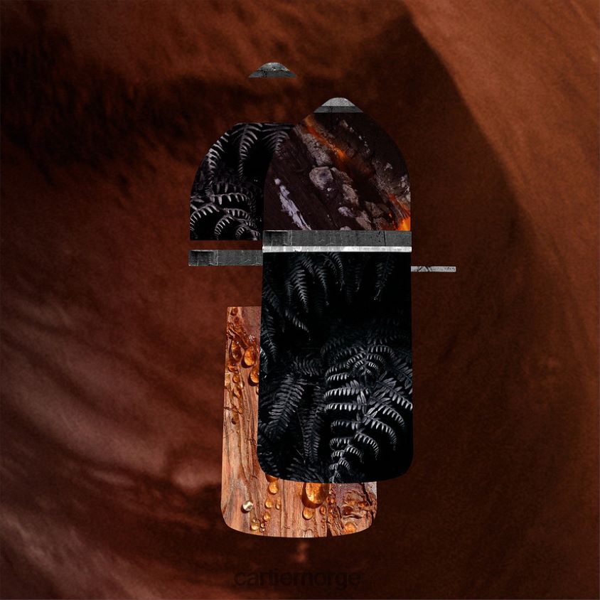 tilbehør Cartier pasha noir absolutt stilig F4466N1839