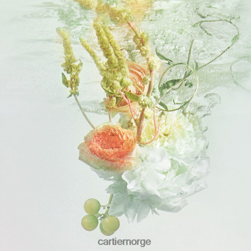 tilbehør Cartier rivieres allegresse 200 ml refill stilig F4466N1836