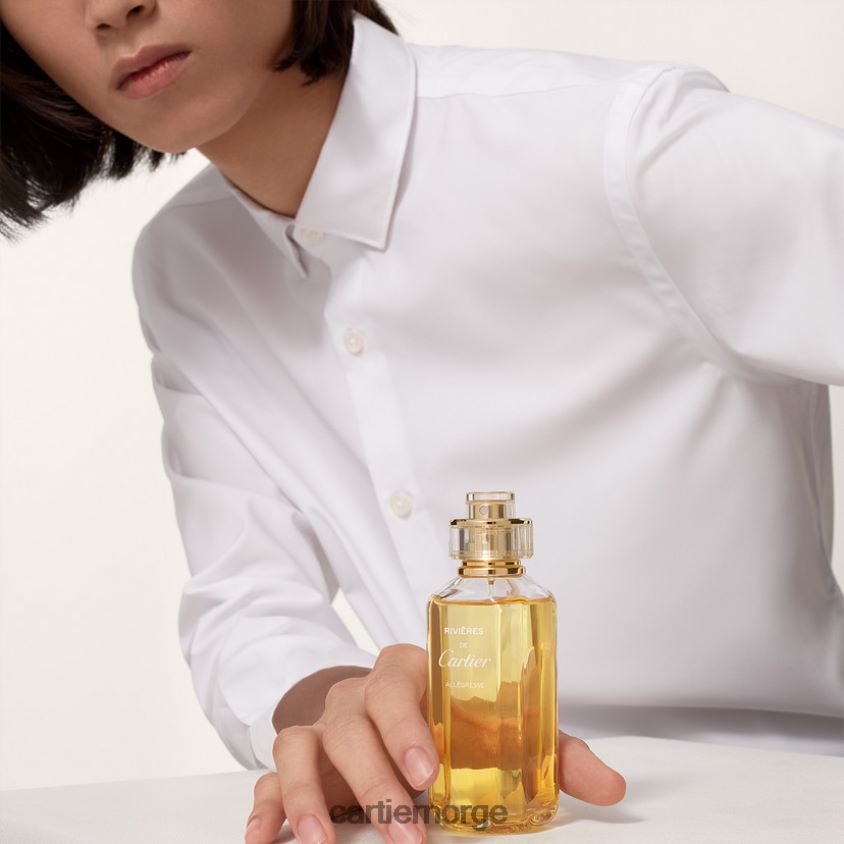 tilbehør Cartier rivieres allegresse stilig F4466N1823