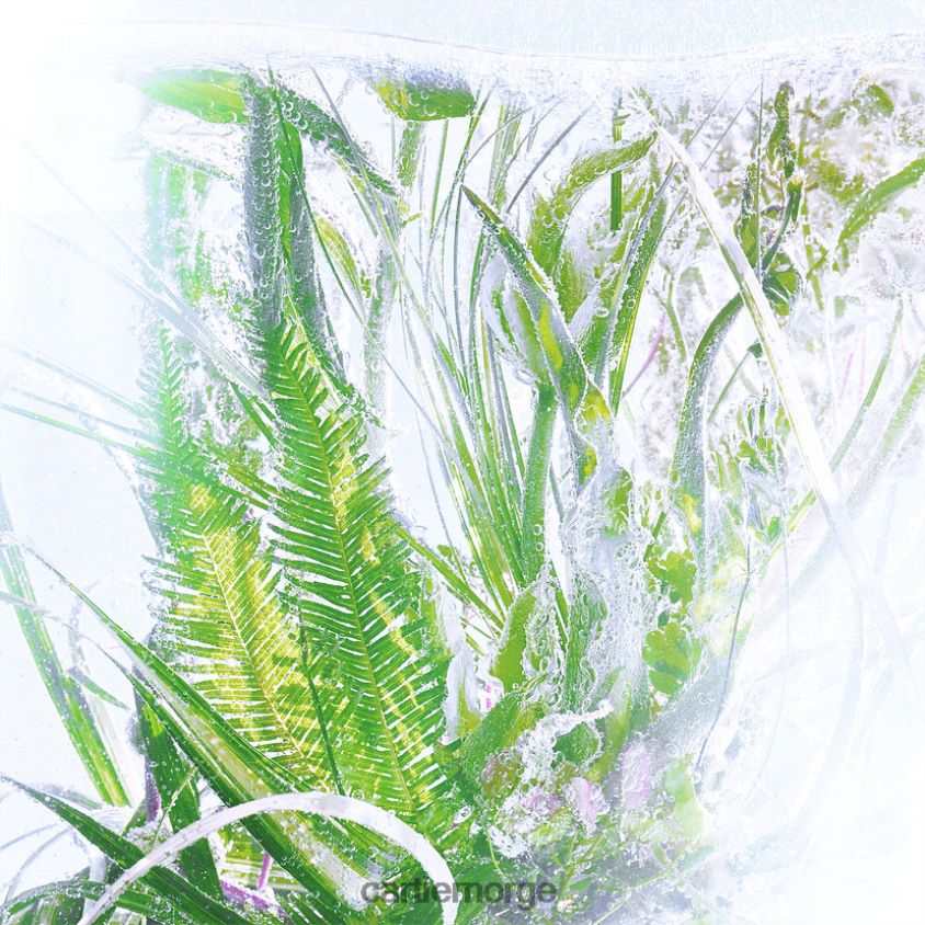 tilbehør Cartier rivieres luxuriance 200 ml refill stilig F4466N1831