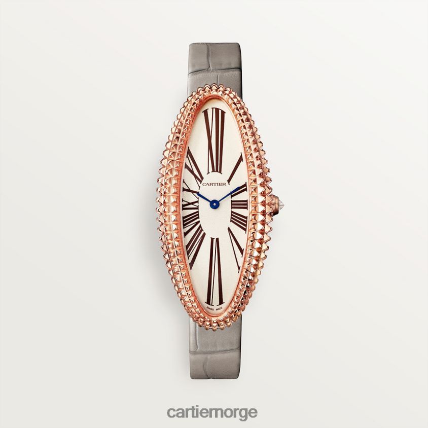 tilbehør Cartier baignoire allongee klokke stilig F4466N1042