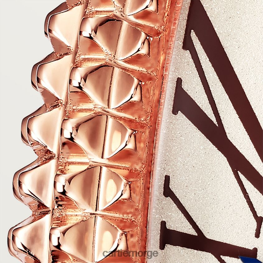 tilbehør Cartier baignoire allongee klokke stilig F4466N1042