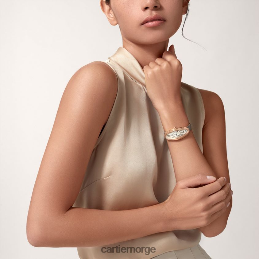 tilbehør Cartier baignoire allongee klokke stilig F4466N1042