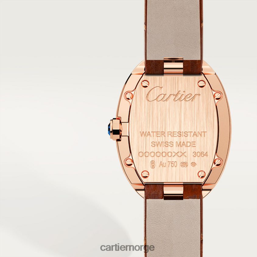 tilbehør Cartier baignoire klokke, liten modell stilig F4466N1034