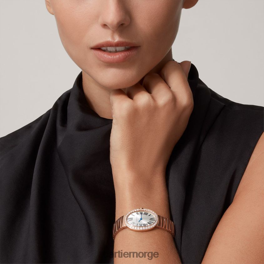 tilbehør Cartier baignoire klokke, liten modell stilig F4466N1039