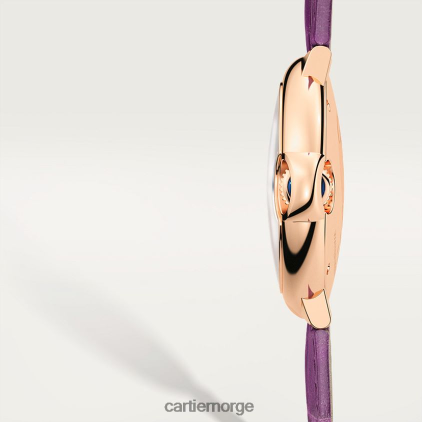 tilbehør Cartier ballon bleu klokke stilig F4466N972