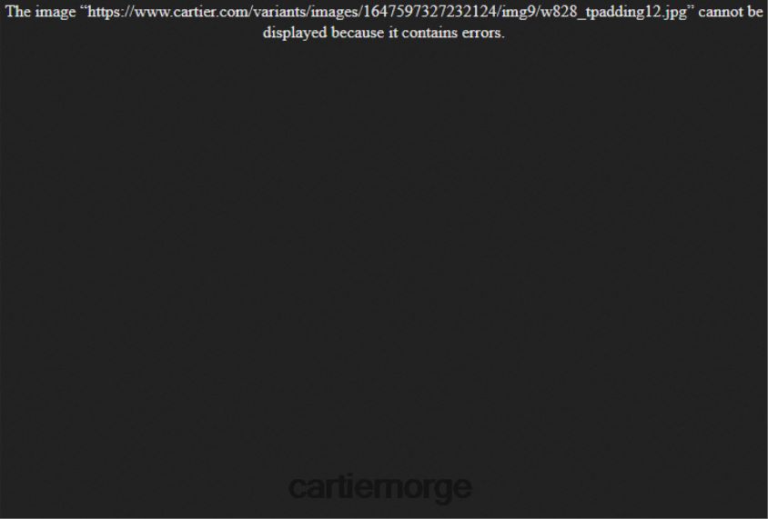 tilbehør Cartier ballon bleu klokke stilig F4466N978