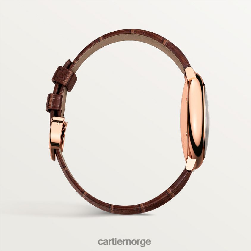 tilbehør Cartier høykvalitets ballon bleu klokke stilig F4466N947