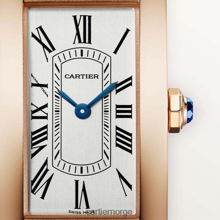 tilbehør Cartier tank americaine klokke stilig F4466N792