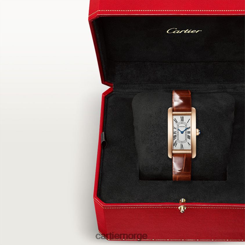 tilbehør Cartier tank americaine klokke stilig F4466N792
