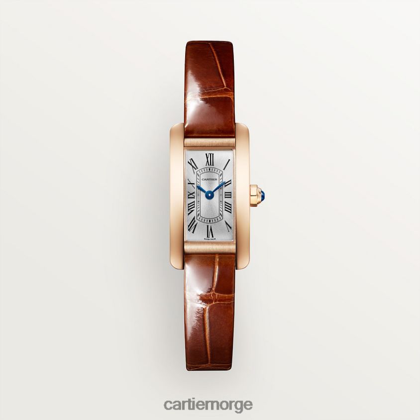 tilbehør Cartier tank americaine klokke stilig F4466N793