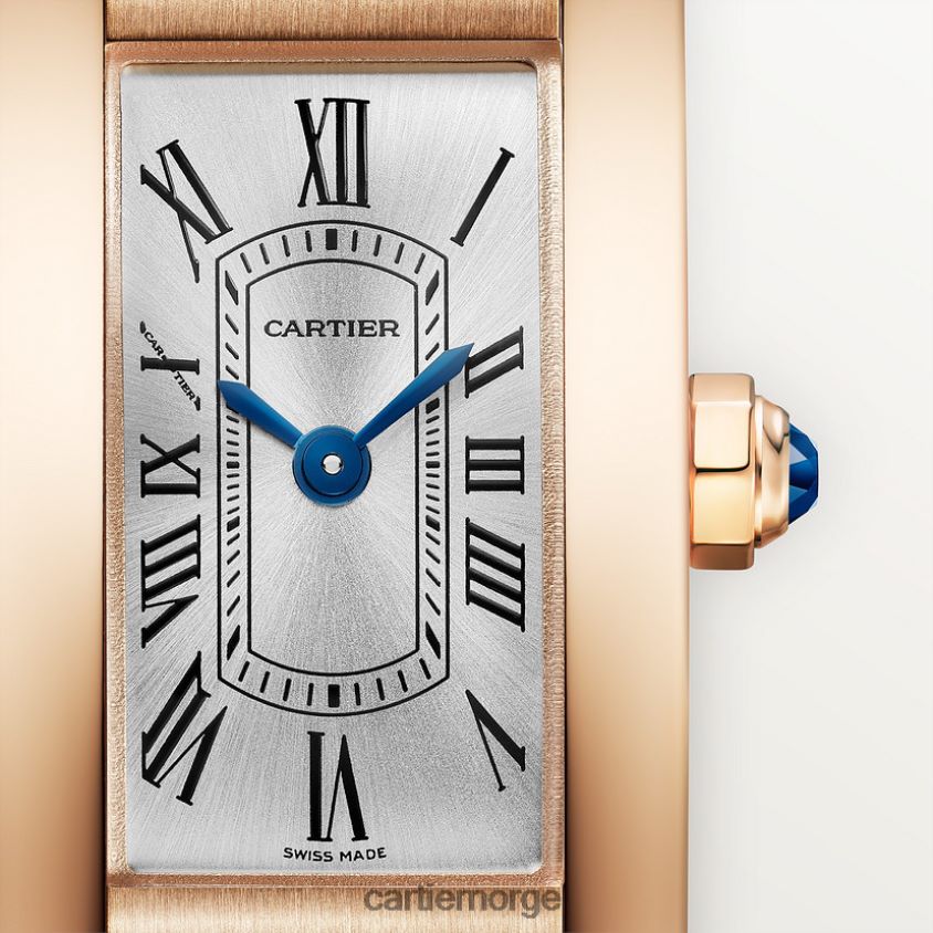 tilbehør Cartier tank americaine klokke stilig F4466N793