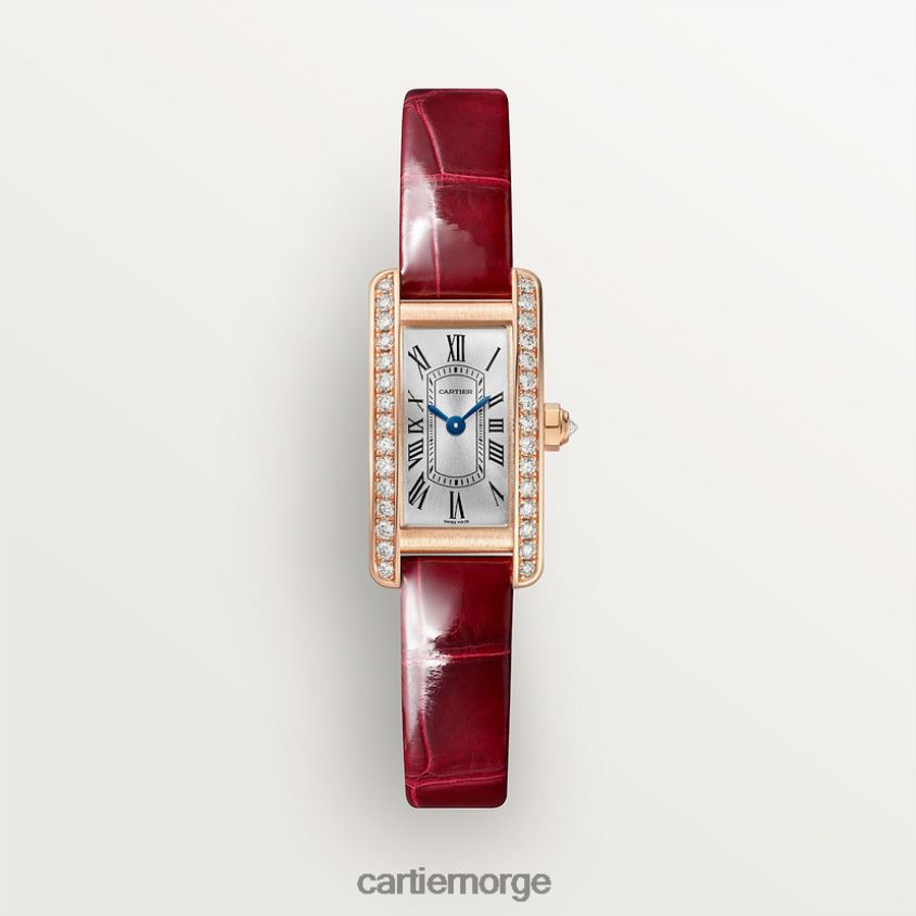 tilbehør Cartier tank americaine klokke stilig F4466N798