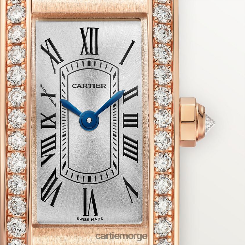 tilbehør Cartier tank americaine klokke stilig F4466N798