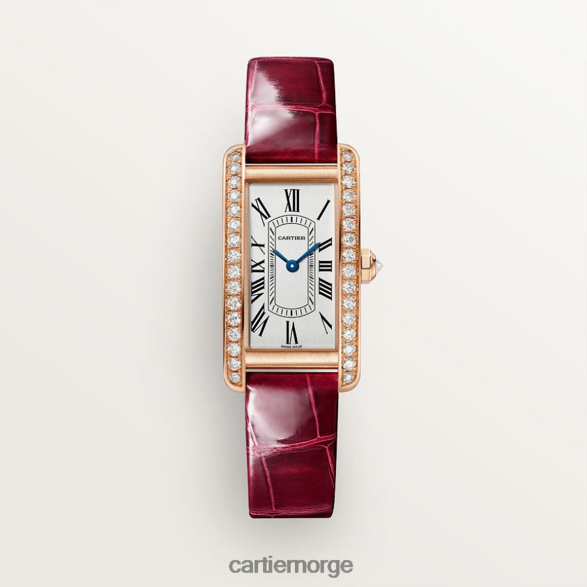 tilbehør Cartier tank americaine klokke stilig F4466N799