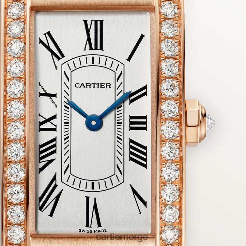 tilbehør Cartier tank americaine klokke stilig F4466N799