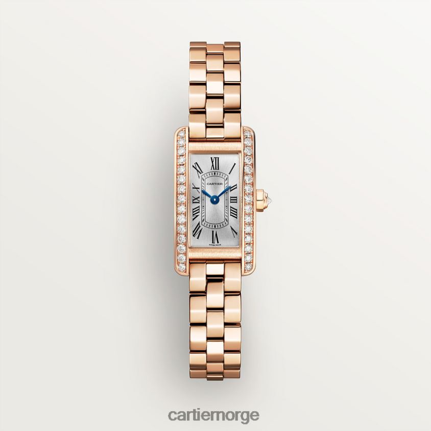 tilbehør Cartier tank americaine klokke stilig F4466N800