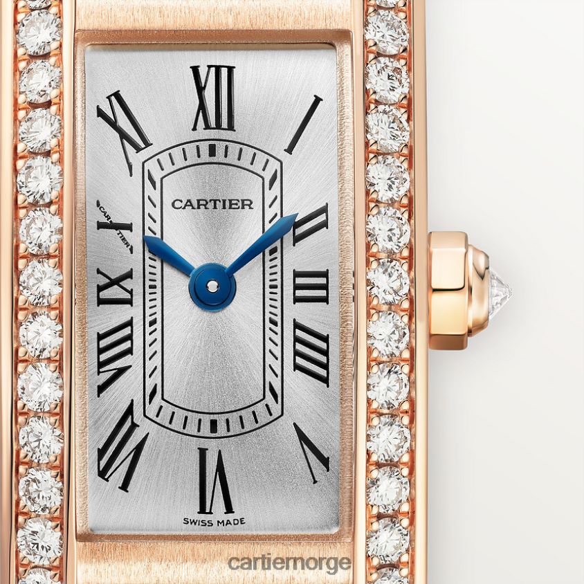 tilbehør Cartier tank americaine klokke stilig F4466N800