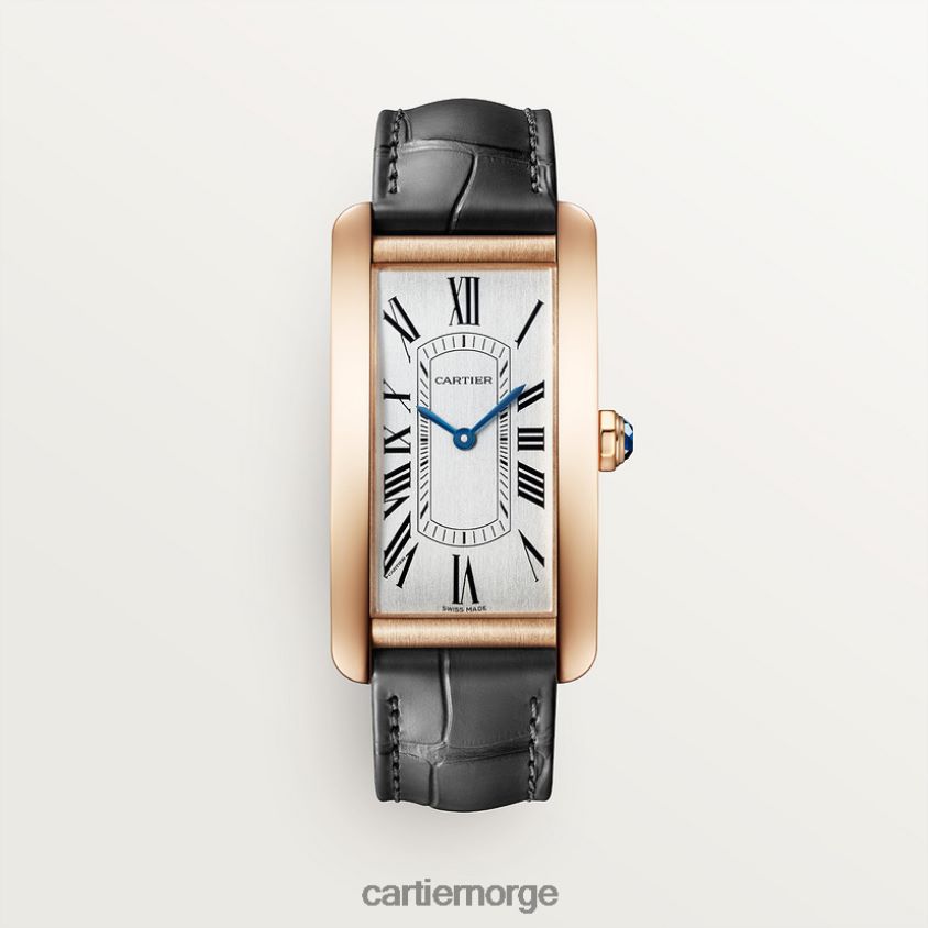 tilbehør Cartier tank americaine klokke stilig F4466N801