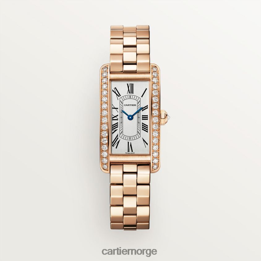 tilbehør Cartier tank americaine klokke stilig F4466N802