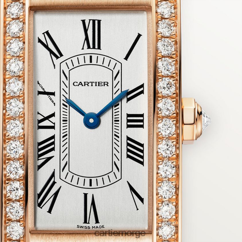 tilbehør Cartier tank americaine klokke stilig F4466N802