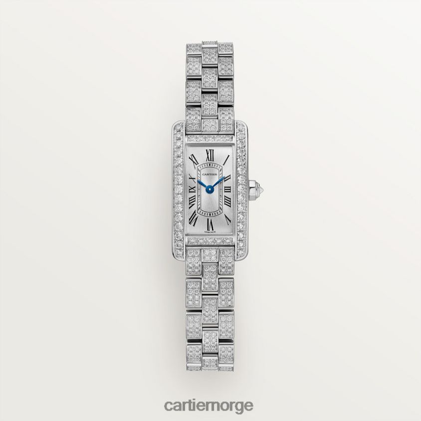 tilbehør Cartier tank americaine klokke stilig F4466N806