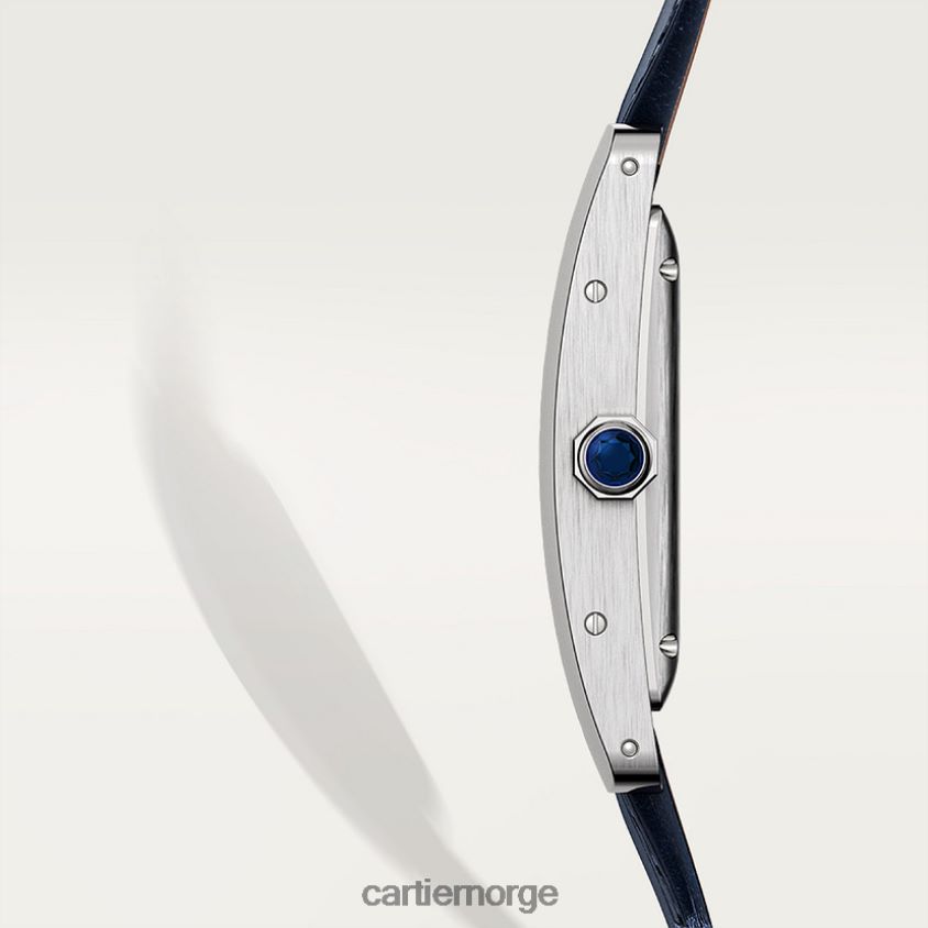 tilbehør Cartier tank americaine klokke stilig F4466N813
