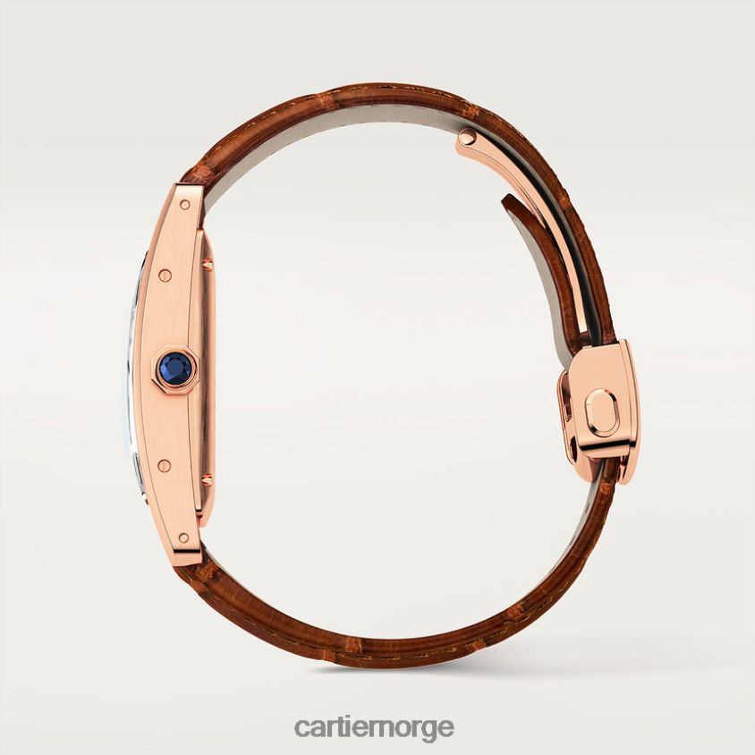 tilbehør Cartier tank americaine klokke stilig F4466N817