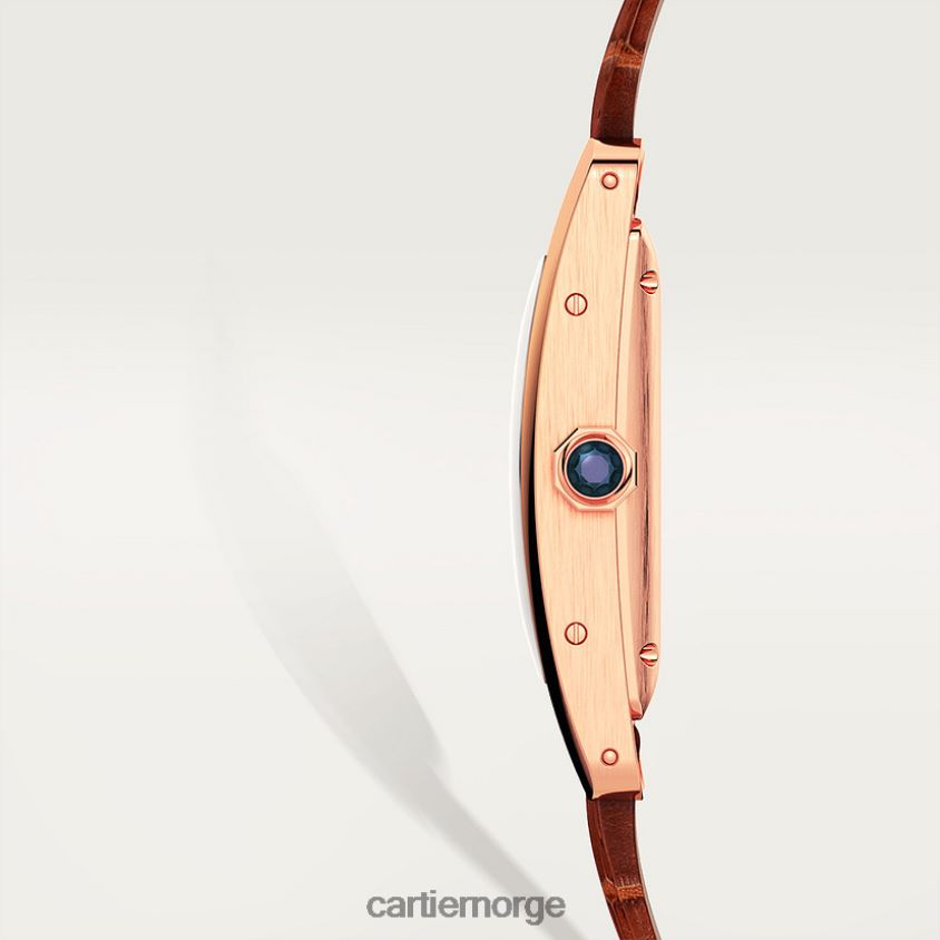 tilbehør Cartier tank americaine klokke stilig F4466N817