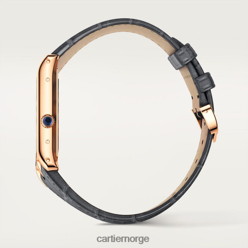 tilbehør Cartier tank asymetrisk klokke stilig F4466N821