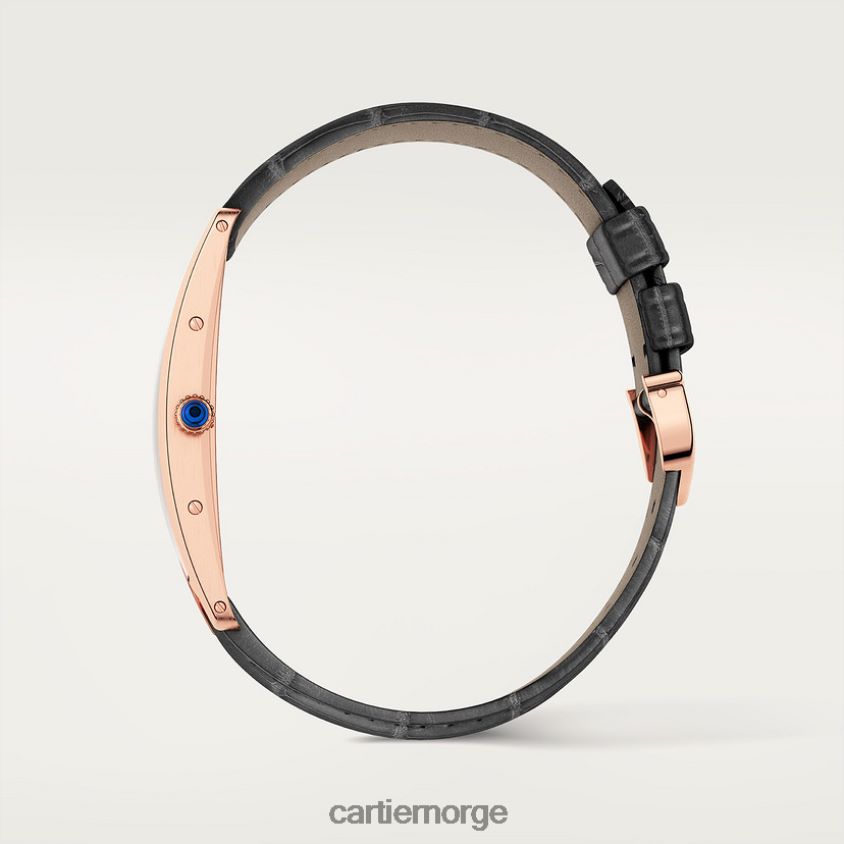 tilbehør Cartier tank cintree klokke stilig F4466N827