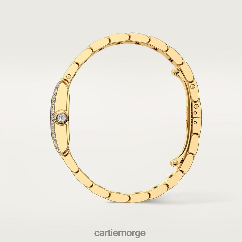 tilbehør Cartier tank francaise klokke stilig F4466N796