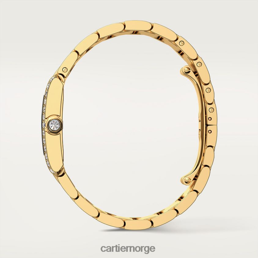 tilbehør Cartier tank francaise klokke stilig F4466N804