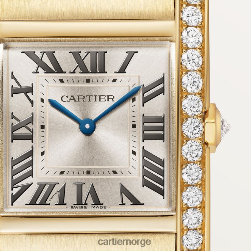 tilbehør Cartier tank francaise klokke stilig F4466N804