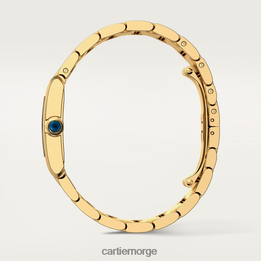 tilbehør Cartier tank francaise klokke stilig F4466N810