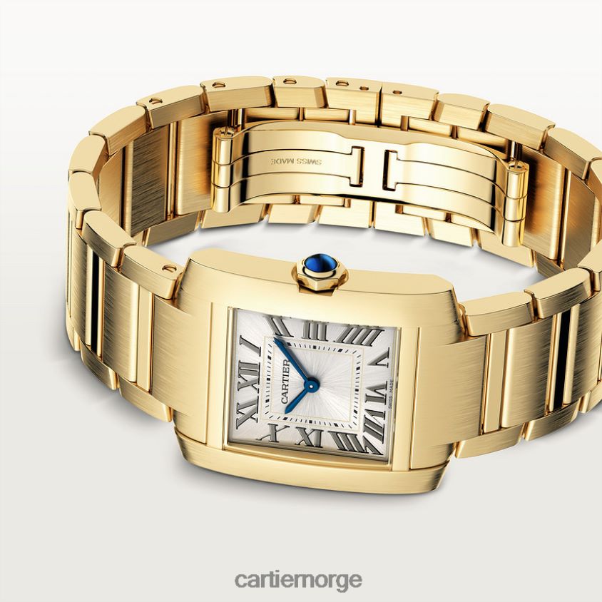 tilbehør Cartier tank francaise klokke stilig F4466N810