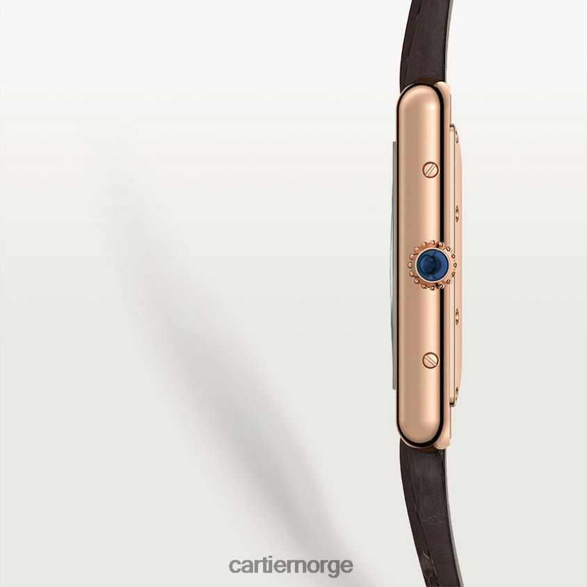 tilbehør Cartier tank louis klokke stilig F4466N791