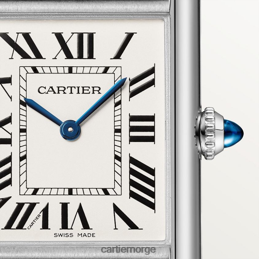 tilbehør Cartier tank må se stilig F4466N776