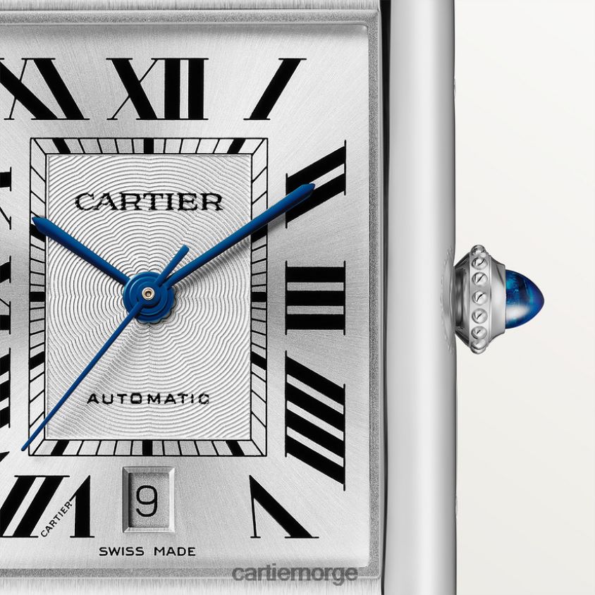 tilbehør Cartier tank må se stilig F4466N777