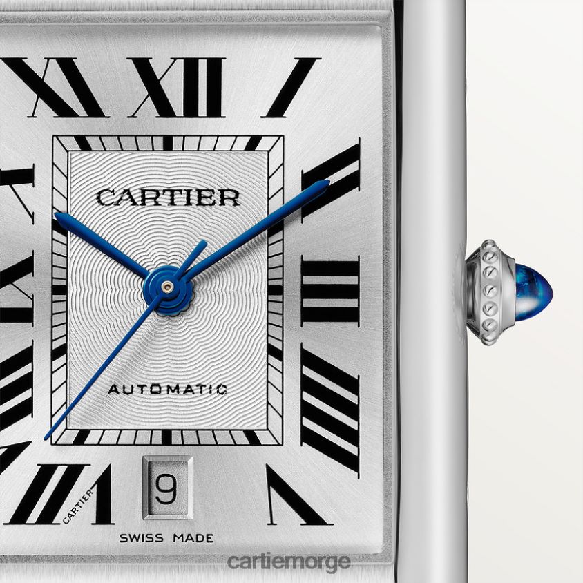 tilbehør Cartier tank må se stilig F4466N779