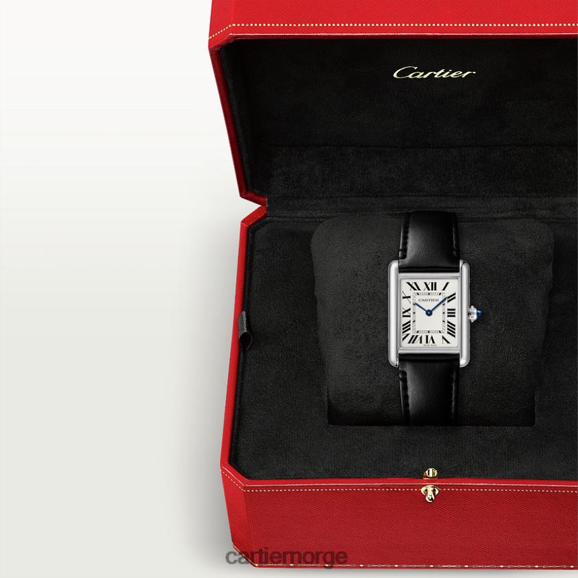 tilbehør Cartier tank må se stilig F4466N785