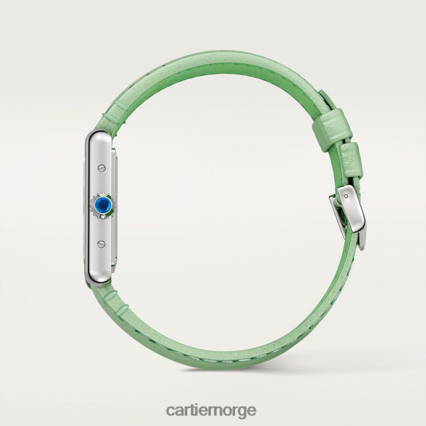 tilbehør Cartier tank må se stilig F4466N825