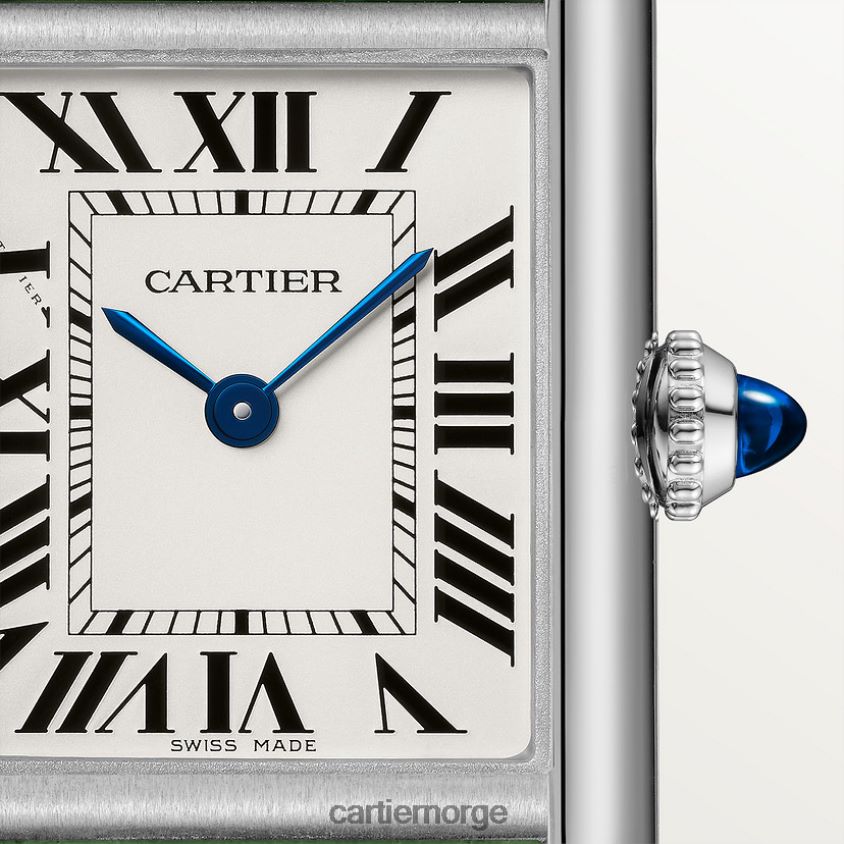 tilbehør Cartier tank må se stilig F4466N825