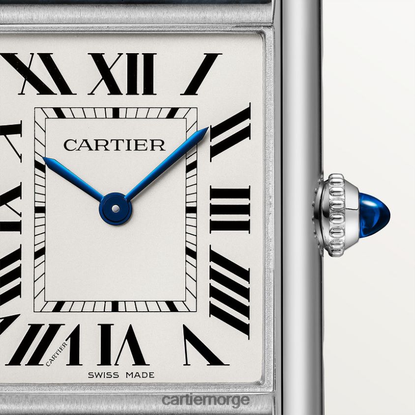 tilbehør Cartier tank må se stilig F4466N826