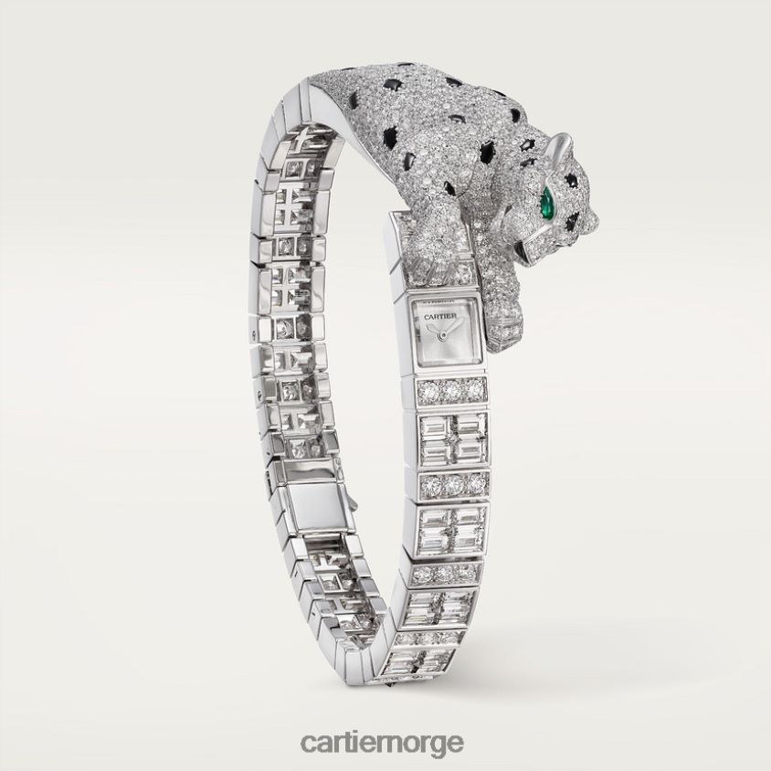 smykker Cartier panthere smykkeklokker stilig F4466N1010